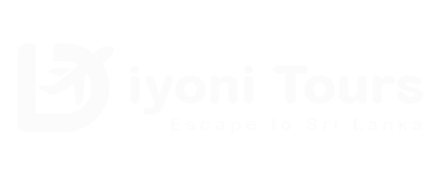 Diyoni-Tours-web-W